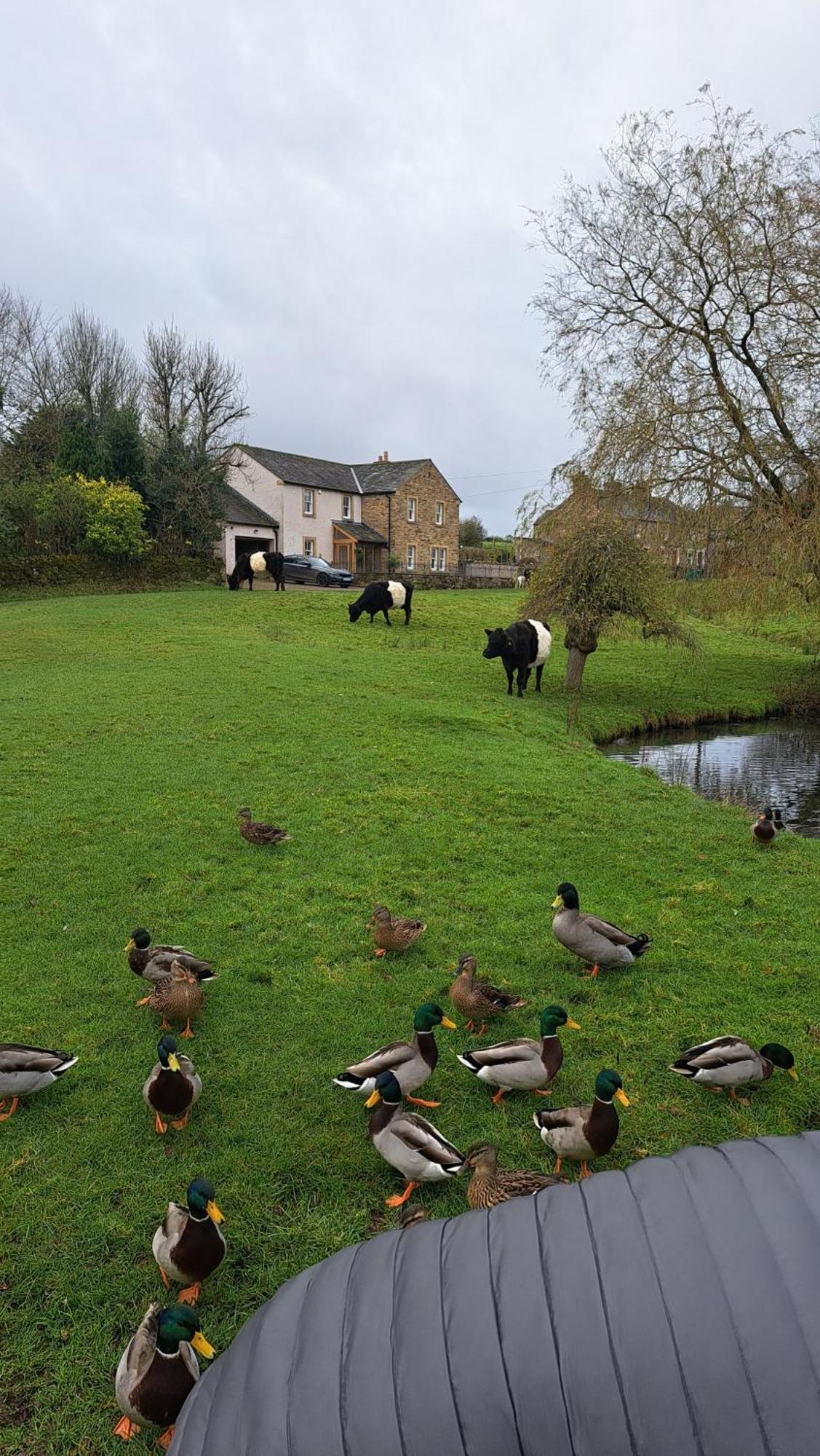 Church House Barn District & Solway Coast With Solway Firth Views